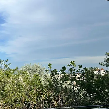 아파트호텔 Avenue Palm Eforie 데포리노드