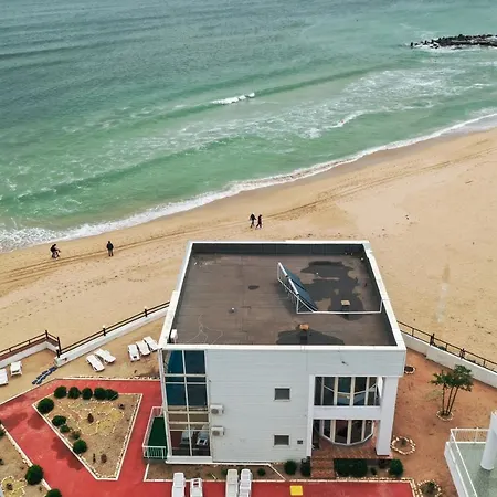 Avenue Palm On The - Avenue Eforie Nord