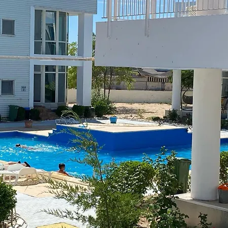 Lägenhetshotell Avenue Palm - Amazing Sea View Eforie Nord