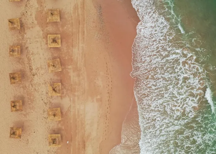 Avenue Palm Eforie Aparthotel